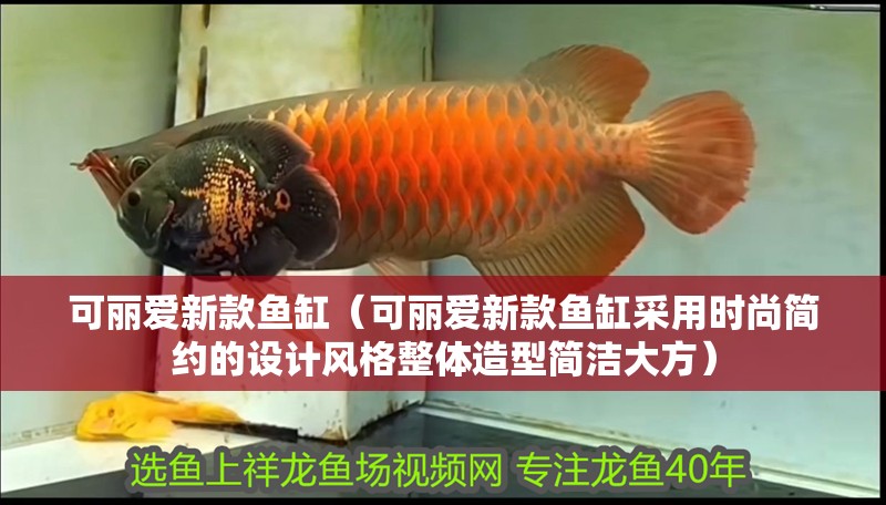 可麗愛新款魚缸（可麗愛新款魚缸采用時尚簡約的設計風格整體造型簡潔大方）