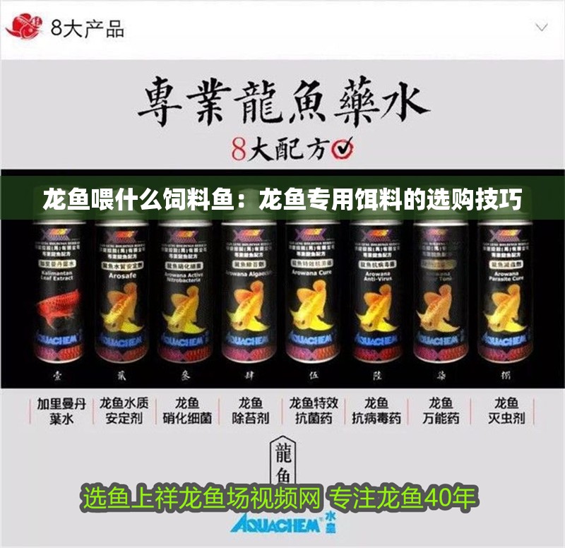 龍魚喂什么飼料魚：龍魚專用餌料的選購技巧