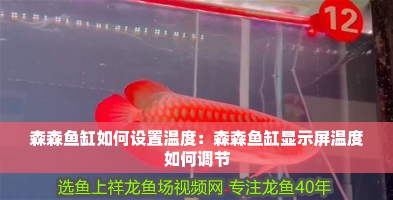 森森魚缸如何設(shè)置溫度：森森魚缸顯示屏溫度如何調(diào)節(jié)