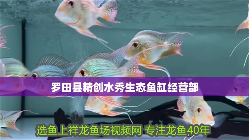 羅田縣精創水秀生態魚缸經營部