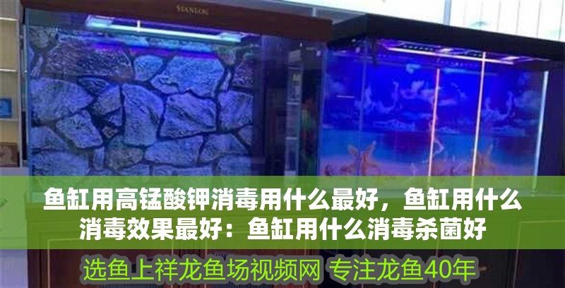 魚缸用高錳酸鉀消毒用什么最好，魚缸用什么消毒效果最好：魚缸用什么消毒殺菌好