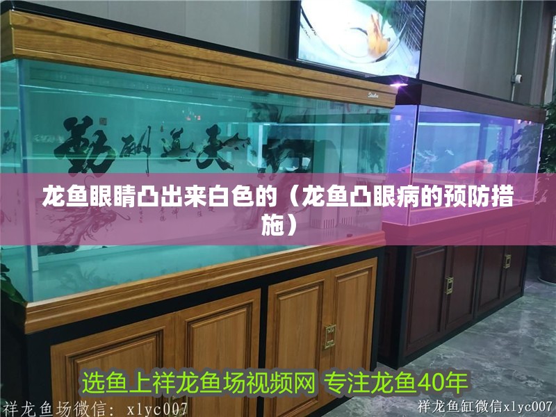 龍魚眼睛凸出來白色的（龍魚凸眼病的預防措施）