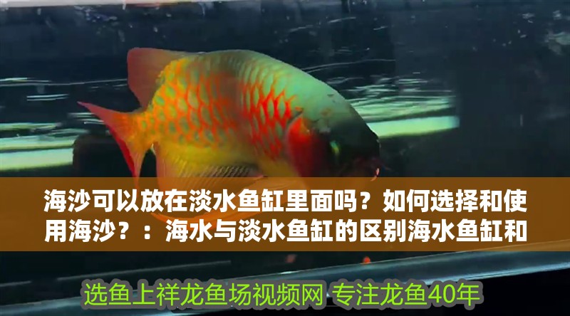 海沙可以放在淡水魚缸里面嗎？如何選擇和使用海沙？：海水與淡水魚缸的區別海水魚缸和淡水魚缸的區別 海沙可以放在淡水魚缸里面嗎？如何選擇和使用海沙？：海水與淡水魚缸的區別海水魚缸和淡水魚缸的區別 魚缸百科
