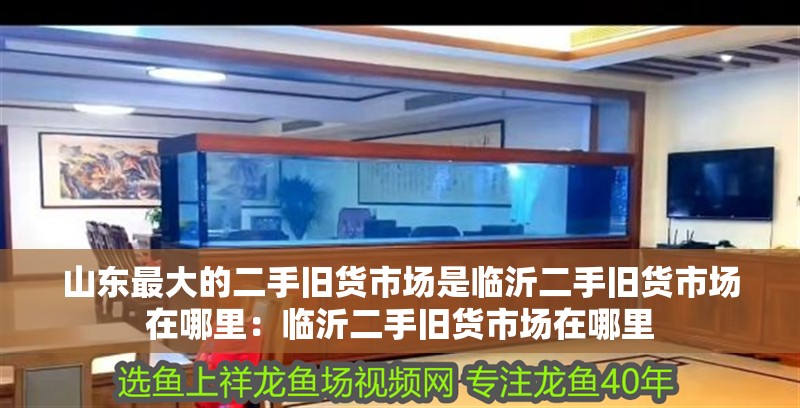 山東最大的二手舊貨市場是臨沂二手舊貨市場在哪里：臨沂二手舊貨市場在哪里 山東最大的二手舊貨市場是臨沂二手舊貨市場在哪里：臨沂二手舊貨市場在哪里 魚缸百科