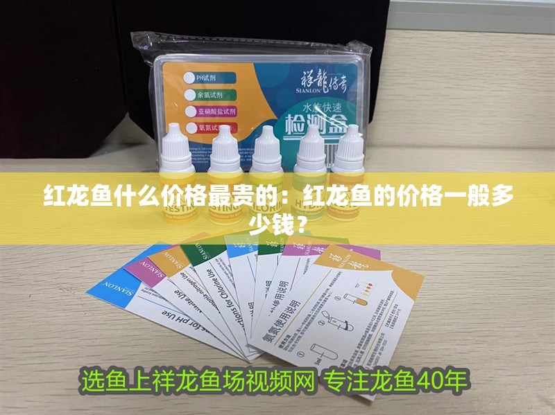 紅龍魚什么價格最貴的：紅龍魚的價格一般多少錢？
