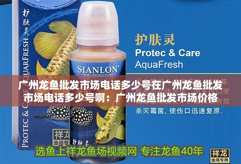 廣州龍魚(yú)批發(fā)市場(chǎng)電話多少號(hào)在廣州龍魚(yú)批發(fā)市場(chǎng)電話多少號(hào)啊：廣州龍魚(yú)批發(fā)市場(chǎng)價(jià)格