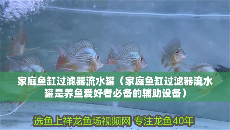 家庭魚缸過濾器流水罐（家庭魚缸過濾器流水罐是養(yǎng)魚愛好者必備的輔助設備）