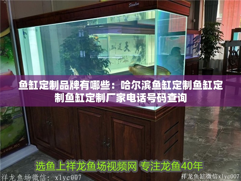 魚缸定制品牌有哪些：哈爾濱魚缸定制魚缸定制魚缸定制廠家電話號碼查詢