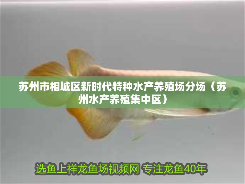 蘇州市相城區新時代特種水產養殖場分場（蘇州水產養殖集中區） 蘇州市相城區新時代特種水產養殖場分場（蘇州水產養殖集中區） 全國水族館企業名錄