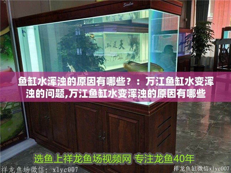 魚缸水渾濁的原因有哪些？：萬江魚缸水變渾濁的問題,萬江魚缸水變渾濁的原因有哪些 魚缸水渾濁的原因有哪些？：萬江魚缸水變渾濁的問題,萬江魚缸水變渾濁的原因有哪些 魚缸百科