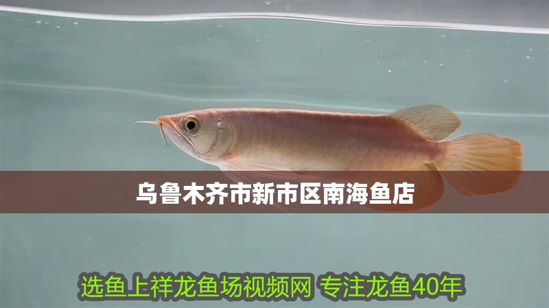 烏魯木齊市新市區(qū)南海魚(yú)店 烏魯木齊市新市區(qū)南海魚(yú)店 全國(guó)水族館企業(yè)名錄