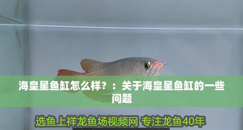 海皇星魚缸怎么樣？：關(guān)于海皇星魚缸的一些問題