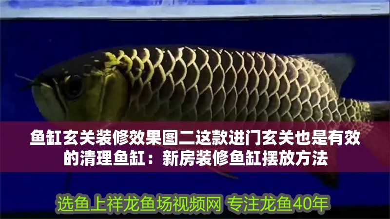 魚缸玄關裝修效果圖二這款進門玄關也是有效的清理魚缸：新房裝修魚缸擺放方法 魚缸玄關裝修效果圖二這款進門玄關也是有效的清理魚缸：新房裝修魚缸擺放方法 魚缸百科