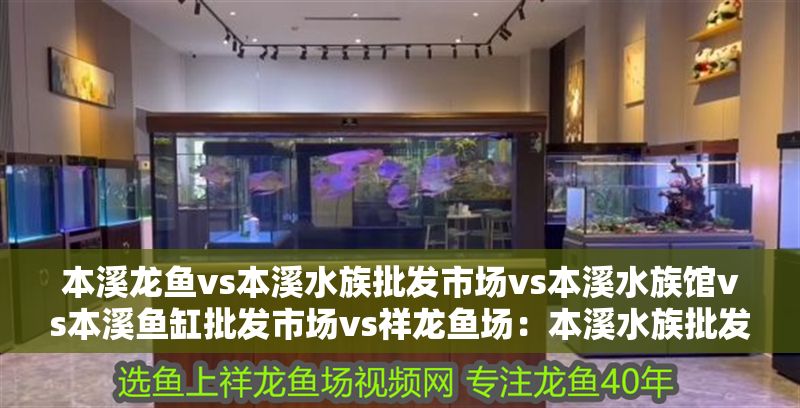 本溪龍魚vs本溪水族批發市場vs本溪水族館vs本溪魚缸批發市場vs祥龍魚場：本溪水族批發市場
