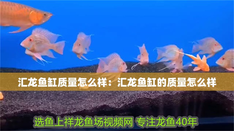 匯龍魚缸質(zhì)量怎么樣：匯龍魚缸的質(zhì)量怎么樣