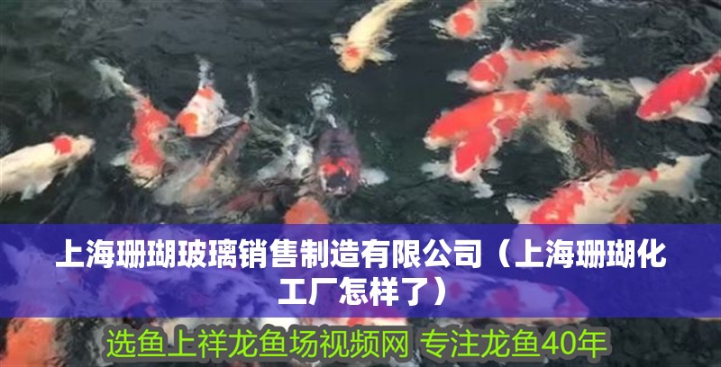 上海珊瑚玻璃銷售制造有限公司（上海珊瑚化工廠怎樣了） 上海珊瑚玻璃銷售制造有限公司（上海珊瑚化工廠怎樣了） 全國水族館企業名錄