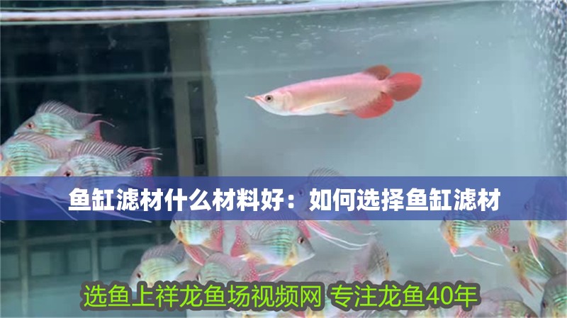 魚缸用增氧泵價格是多少:魚缸增氧機-xtrac增氧機-xtrac增氧機 魚缸濾材什么材料好:如何選擇魚缸濾材 魚缸百科 魚缸濾材什么材料好:如何選擇魚缸濾材 魚缸濾材什么材料好:如何選擇魚缸濾材 魚缸百科