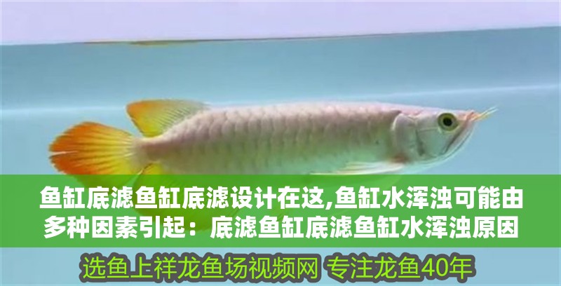 魚缸底濾魚缸底濾設計在這,魚缸水渾濁可能由多種因素引起：底濾魚缸底濾魚缸水渾濁原因和解決方案水渾有哪些原因