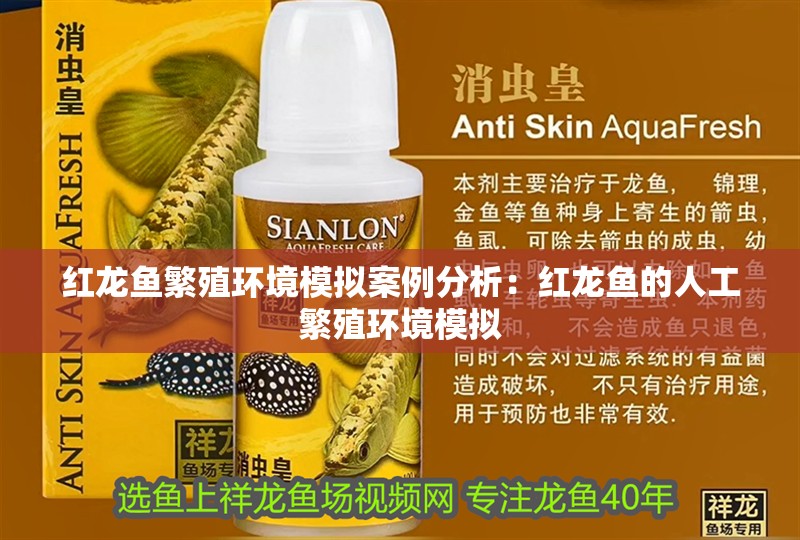 紅龍魚繁殖環境模擬案例分析：紅龍魚的人工繁殖環境模擬