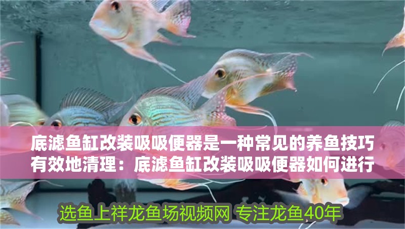 底濾魚缸改裝吸吸便器是一種常見的養魚技巧有效地清理：底濾魚缸改裝吸吸便器如何進行改裝