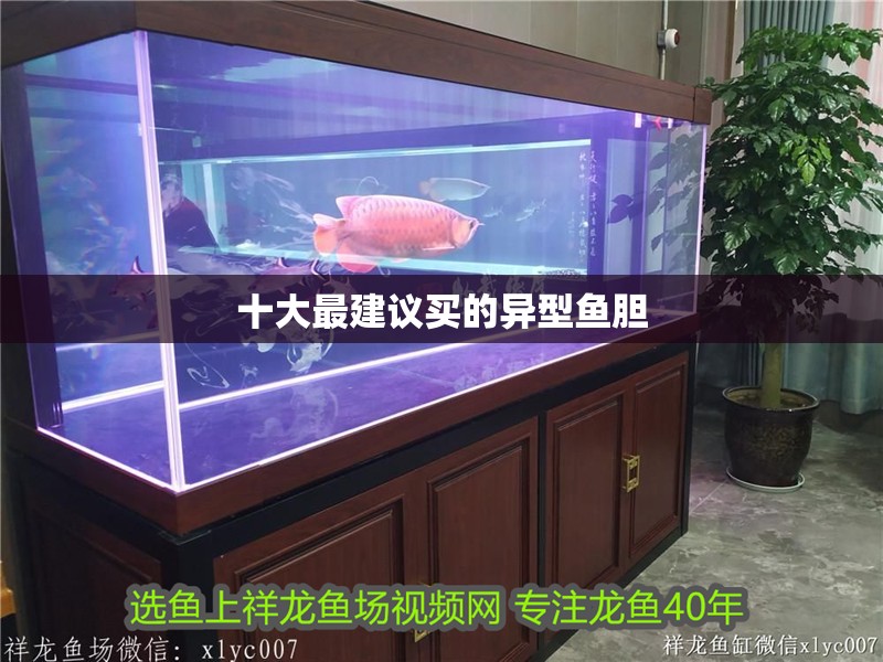 十大最建議買的異型魚膽