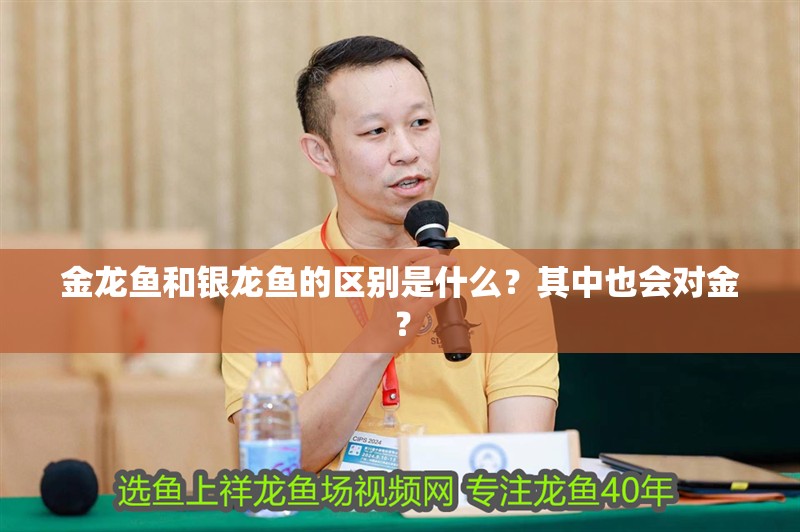 金龍魚和銀龍魚的區別是什么？其中也會對金？