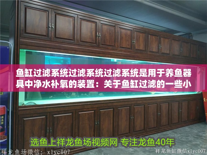 魚缸過濾系統過濾系統過濾系統是用于養魚器具中凈水補氧的裝置：關于魚缸過濾的一些小知識