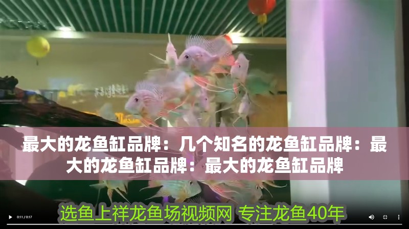 最大的龍魚(yú)缸品牌：幾個(gè)知名的龍魚(yú)缸品牌：最大的龍魚(yú)缸品牌：最大的龍魚(yú)缸品牌