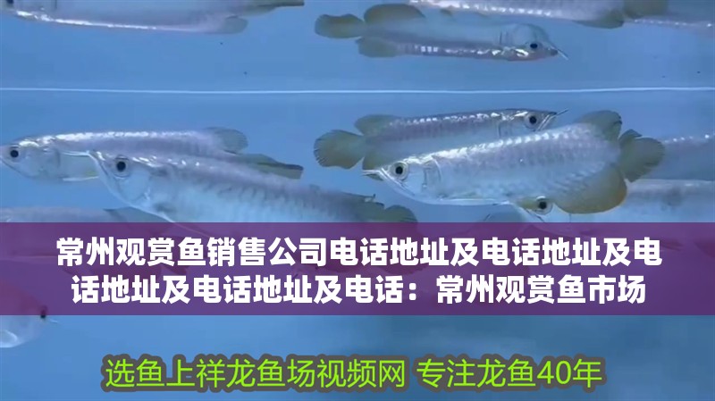 常州觀賞魚銷售公司電話地址及電話地址及電話地址及電話地址及電話：常州觀賞魚市場
