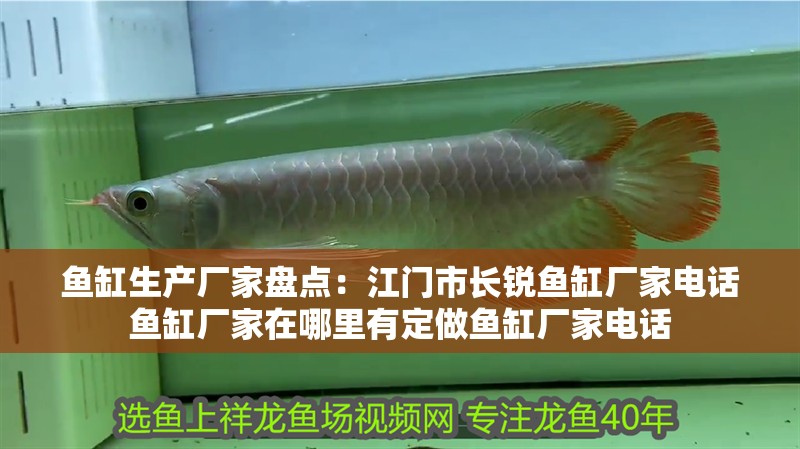 魚缸生產廠家盤點：江門市長銳魚缸廠家電話魚缸廠家在哪里有定做魚缸廠家電話