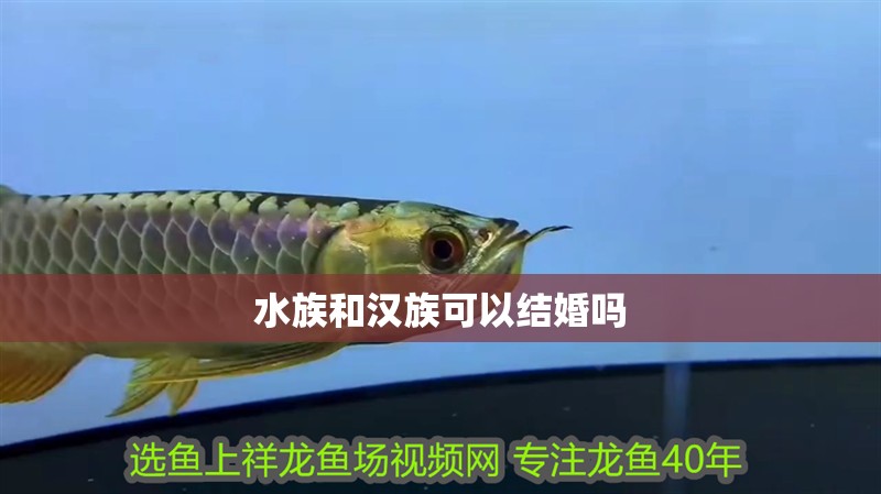 水族和漢族可以結(jié)婚嗎
