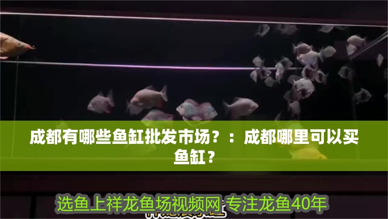 <strong><mark>成都</mark></strong>有哪些魚缸批發市場？：<strong><mark>成都</mark></strong>哪里可以買魚缸？