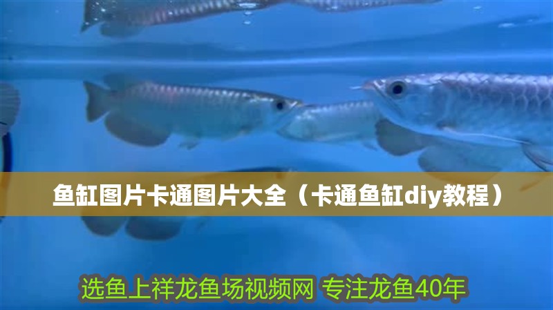 魚缸圖片卡通圖片大全（卡通魚缸diy教程）