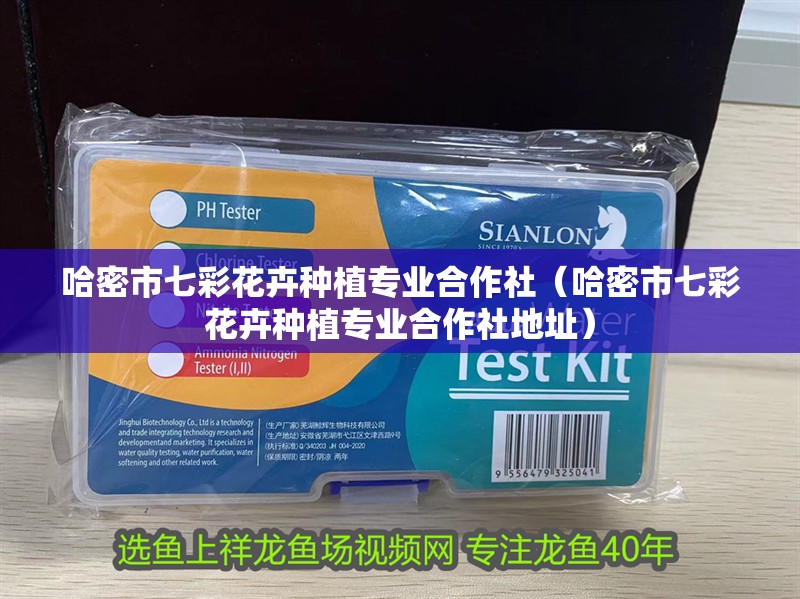 哈密市七彩花卉種植專業合作社（哈密市七彩花卉種植專業合作社地址）