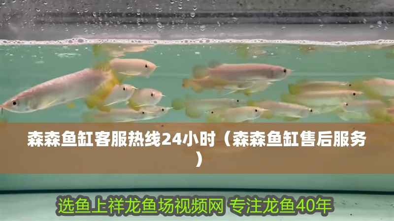 森森魚缸客服熱線24小時（森森魚缸售后服務） 森森魚缸客服熱線24小時（森森魚缸售后服務） 魚缸百科