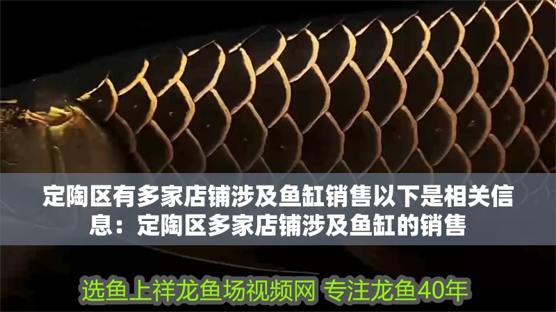 定陶區有多家店鋪涉及魚缸銷售以下是相關信息：定陶區多家店鋪涉及魚缸的銷售
