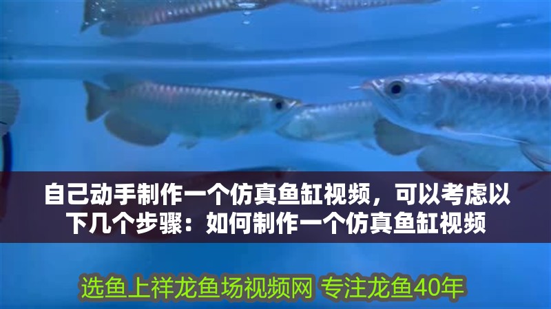 自己動(dòng)手制作一個(gè)仿真魚缸視頻，可以考慮以下幾個(gè)步驟：如何制作一個(gè)仿真魚缸視頻
