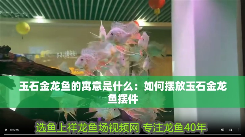 玉石金龍魚的寓意是什么：如何擺放玉石金龍魚擺件