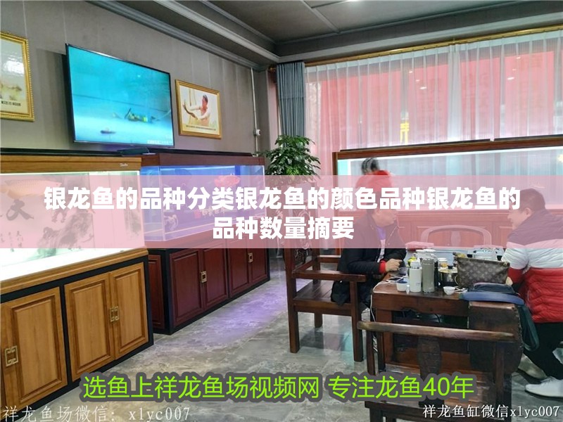 銀龍魚的品種分類銀龍魚的顏色品種銀龍魚的品種數量摘要