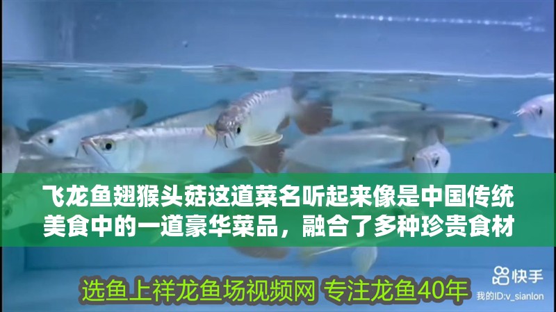 飛龍魚翅猴頭菇這道菜名聽起來像是中國傳統美食中的一道豪華菜品，融合了多種珍貴食材（飛龍魚翅猴頭菇是中國傳統美食中的一道豪華菜品，融合多種珍貴食材）