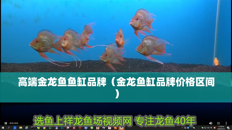高端金龍魚魚缸品牌（金龍魚缸品牌價(jià)格區(qū)間）