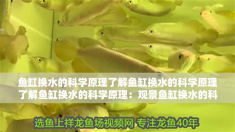 魚缸換水的科學原理了解魚缸換水的科學原理了解魚缸換水的科學原理：觀景魚缸換水的科學原理 魚缸換水的科學原理了解魚缸換水的科學原理了解魚缸換水的科學原理：觀景魚缸換水的科學原理 魚缸百科