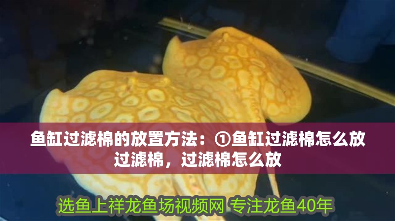 魚缸過濾棉的放置方法：①魚缸過濾棉怎么放過濾棉，過濾棉怎么放