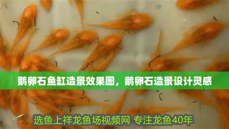 鵝卵石魚缸造景效果圖，鵝卵石造景設計靈感