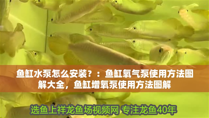 魚(yú)缸用增氧泵價(jià)格是多少:魚(yú)缸增氧機(jī)-xtrac增氧機(jī)-xtrac增氧機(jī) 魚(yú)缸水泵怎么安裝?:魚(yú)缸氧氣泵使用方法圖解大全,魚(yú)缸增氧泵使用方法圖解 魚(yú)缸百科 魚(yú)缸水泵怎么安裝?:魚(yú)缸氧氣泵使用方法圖解大全,魚(yú)缸增氧泵使用方法圖解 魚(yú)缸水泵怎么安裝?:魚(yú)缸氧氣泵使用方法圖解大全,魚(yú)缸增氧泵使用方法圖解 魚(yú)缸百科