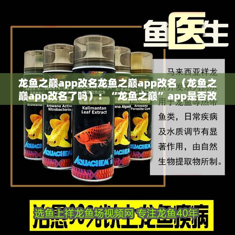 龍魚之巔app改名龍魚之巔app改名（龍魚之巔app改名了嗎）：“龍魚之巔”app是否改名的討論引起公眾關(guān)注