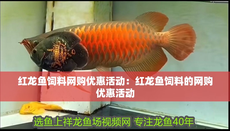 紅龍魚飼料網(wǎng)購優(yōu)惠活動：紅龍魚飼料的網(wǎng)購優(yōu)惠活動
