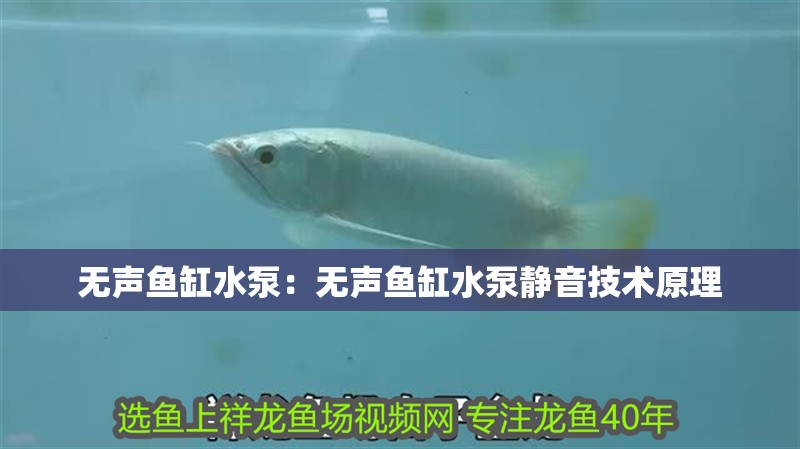 無聲魚缸水泵：無聲魚缸水泵靜音技術原理