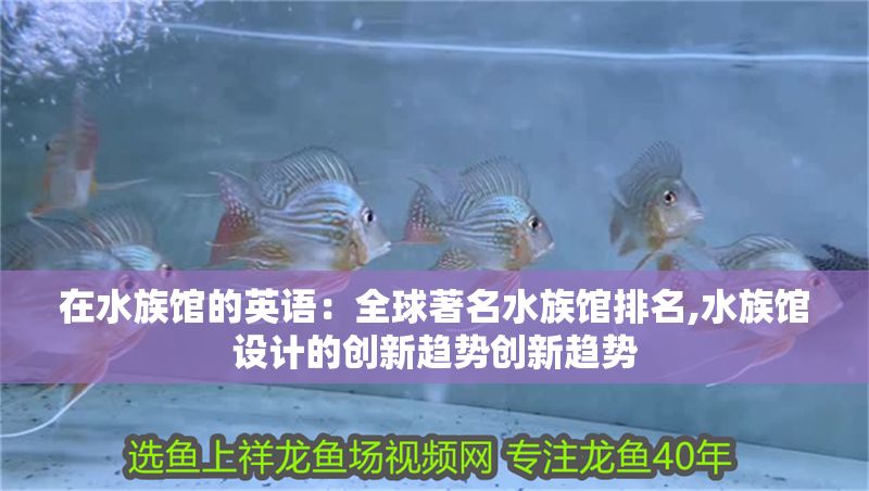 在水族館的英語：全球著名水族館排名,水族館設(shè)計(jì)的創(chuàng)新趨勢創(chuàng)新趨勢 在水族館的英語：全球著名水族館排名,水族館設(shè)計(jì)的創(chuàng)新趨勢創(chuàng)新趨勢 水族館百科（水族館加盟） 第1張