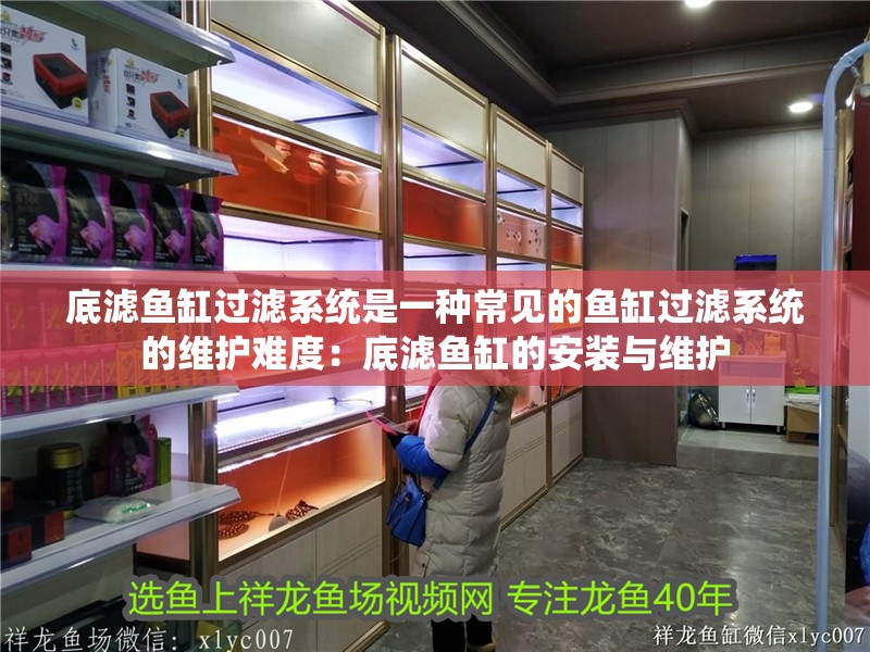 底濾魚缸過濾系統(tǒng)是一種常見的魚缸過濾系統(tǒng)的維護難度：底濾魚缸的安裝與維護